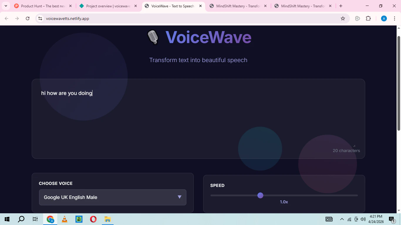 VoiceWave 대표 미리보기
