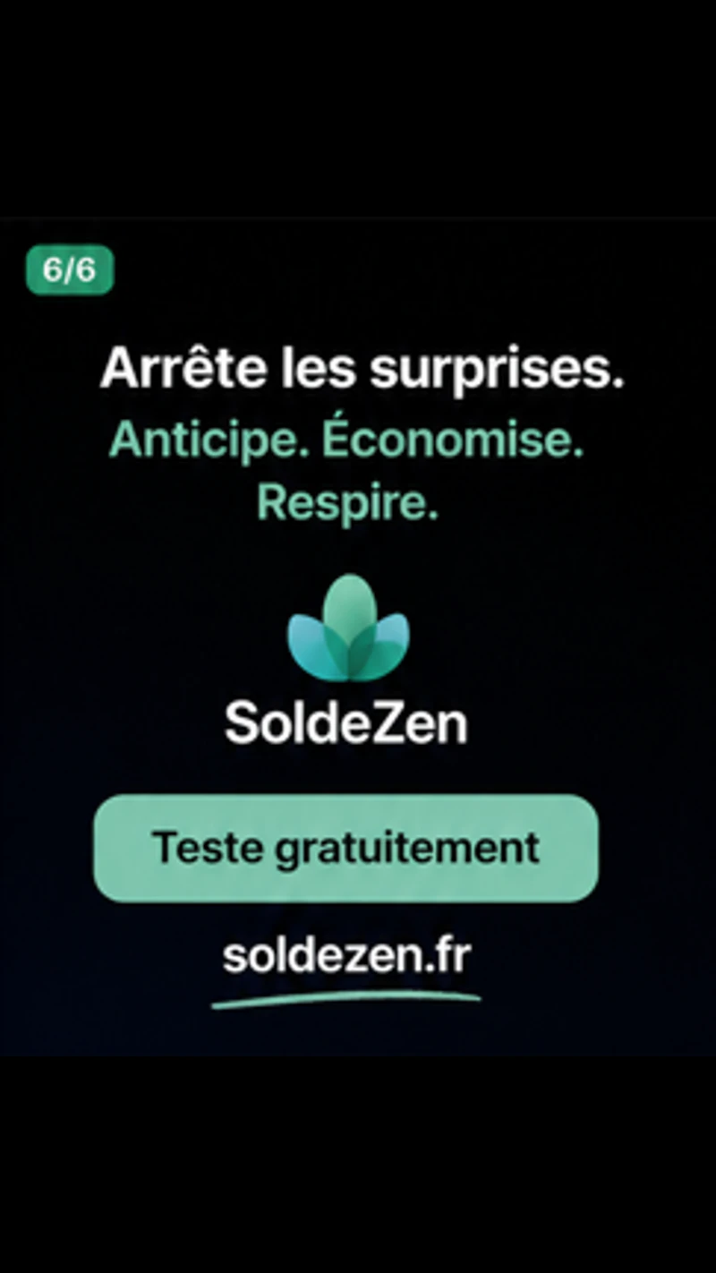 Solde Zen screenshot 2