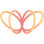 DataMorf
