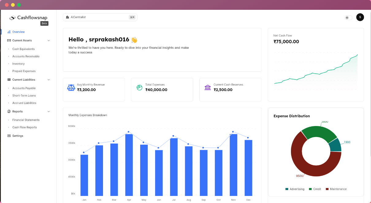 Cashflowsnap - Smart Financial Tools für jedes Startup Medien 1
