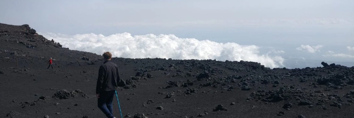 Will Sackfield cover