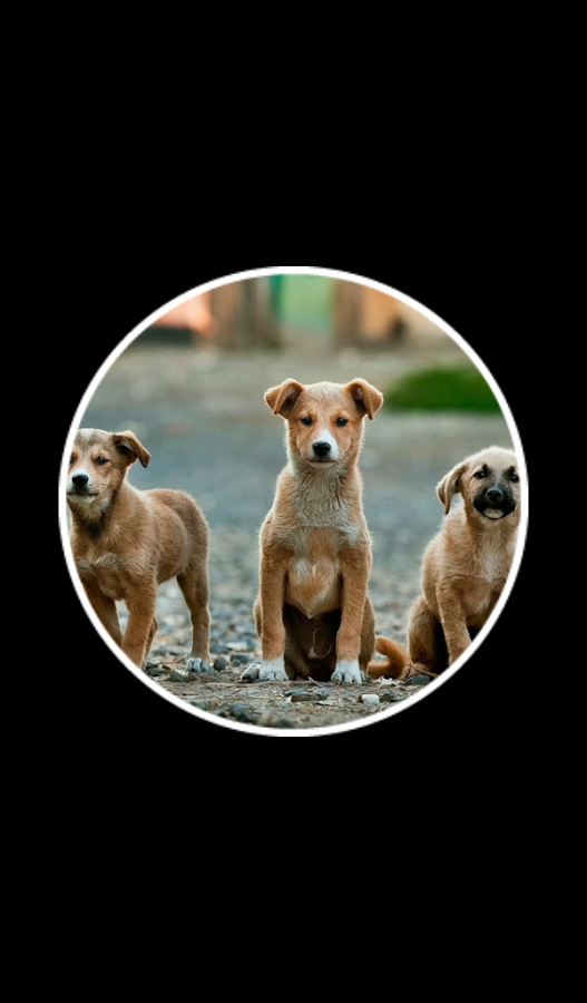 22 Clues gallery image