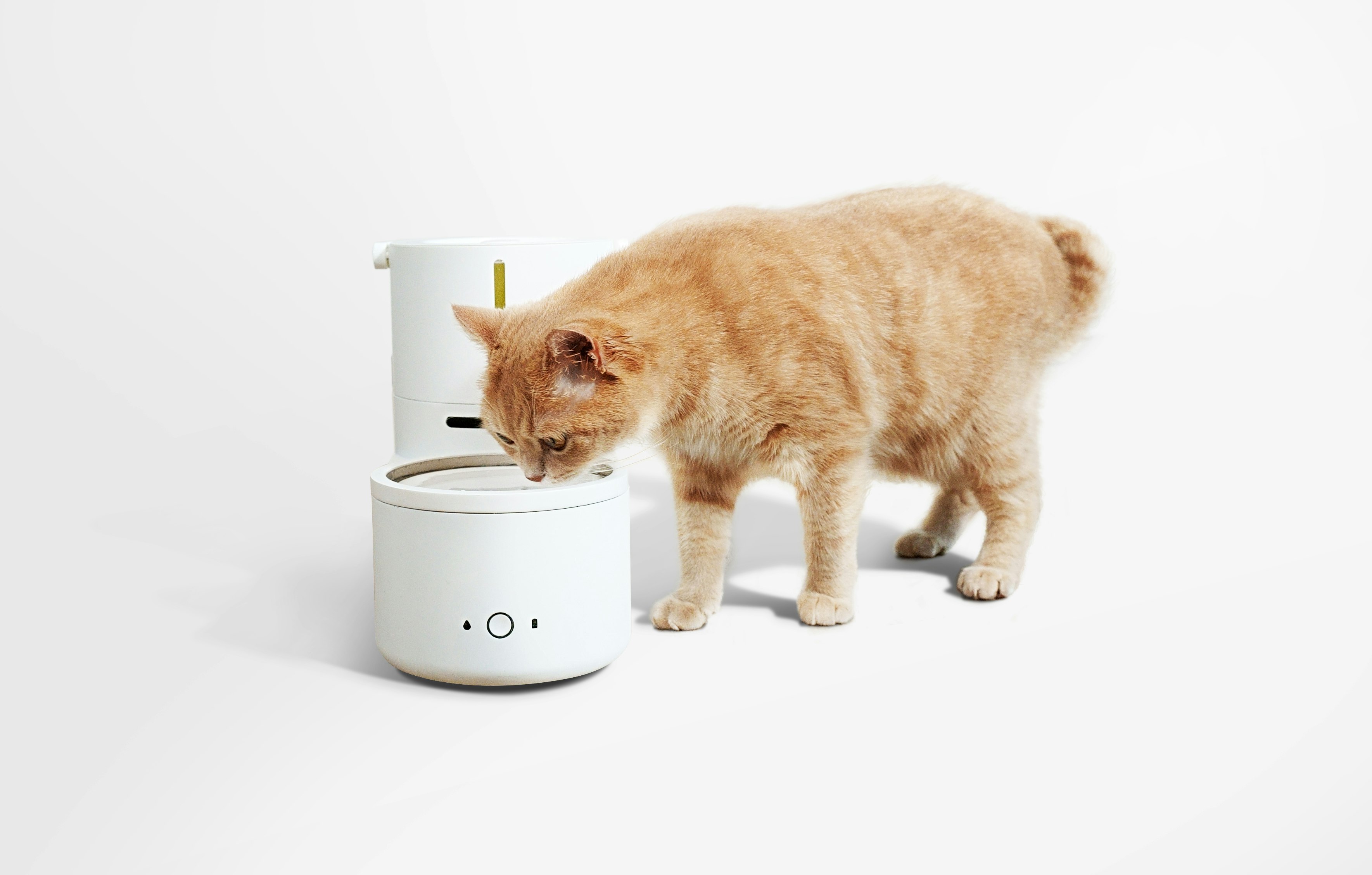 Drinkie gallery image