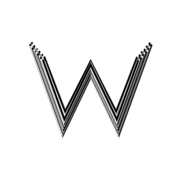 WhisperTranscript AI