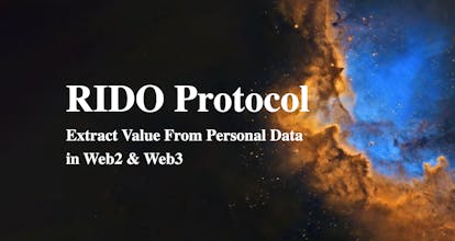 RIDO Protocol gallery image