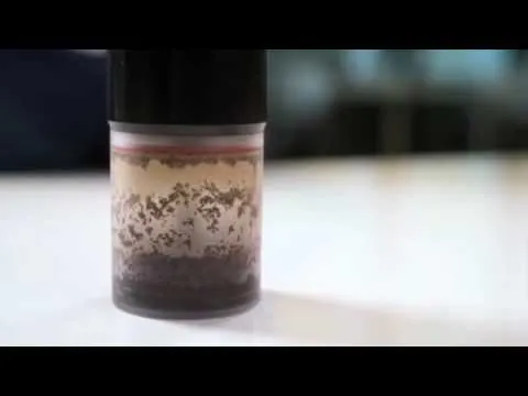 Pascal Press