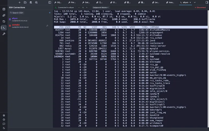 RaisDB screenshot 6