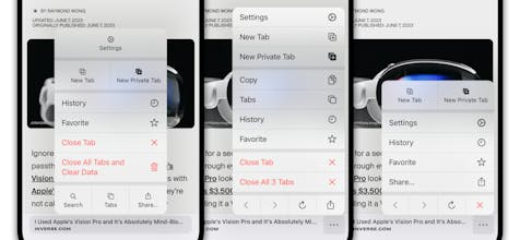 Quiche Browser gallery image