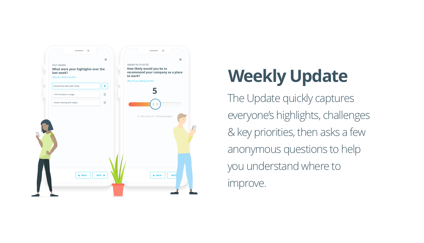 Motivii gallery image