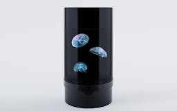 Jellyfish Aquarium media 1