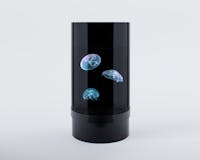 Jellyfish Aquarium image