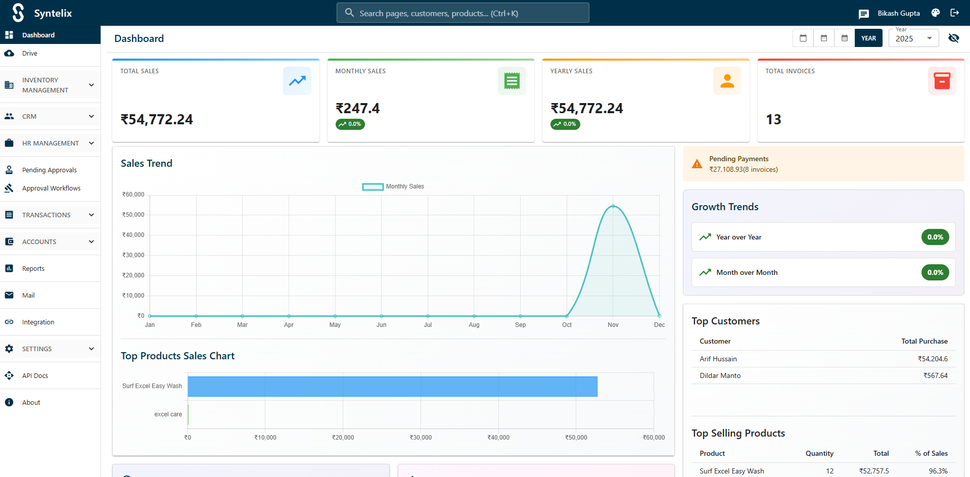 Syntelix ERP - Main product screenshot demonstrating key features and user interface