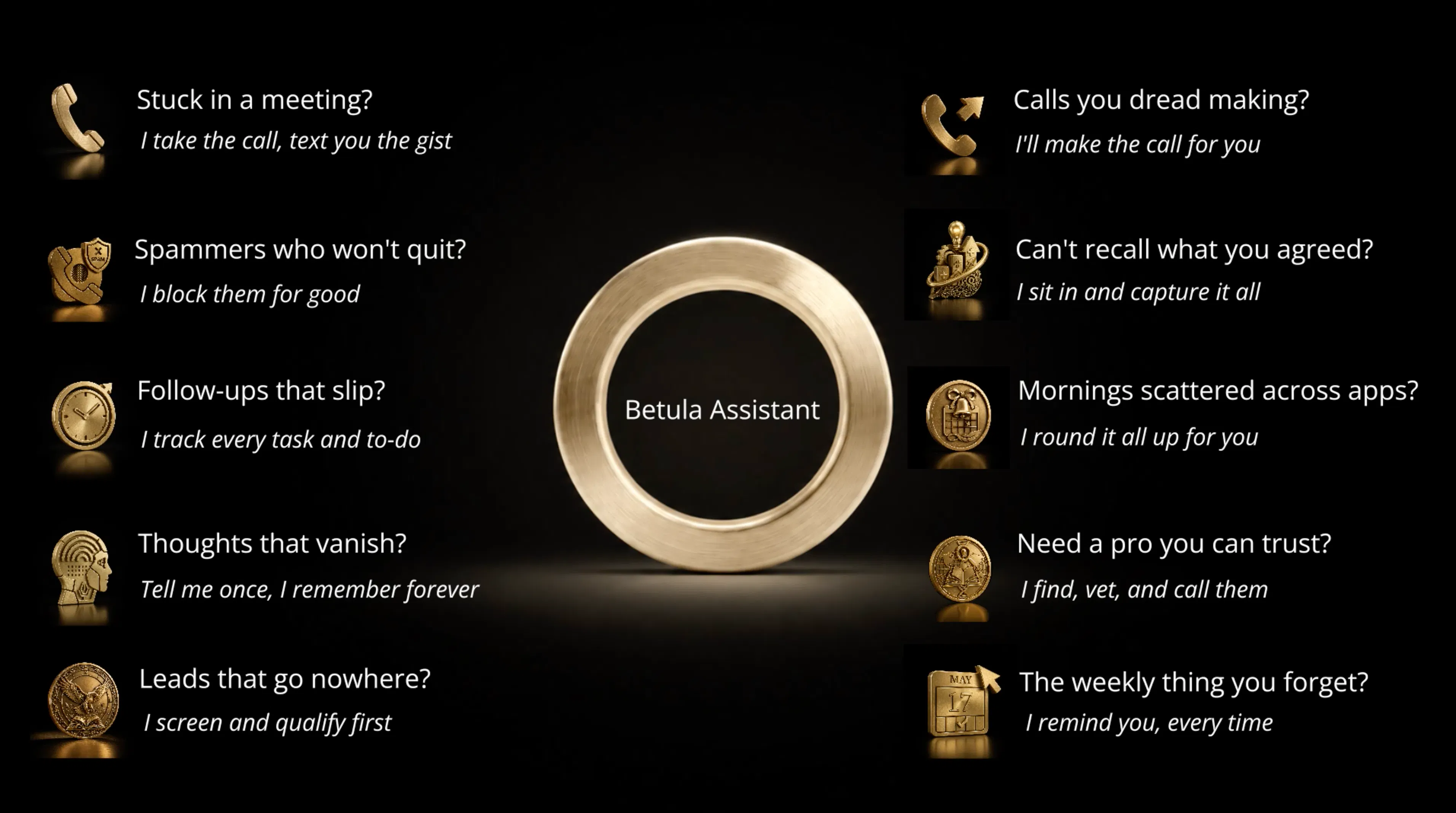 Betula Assistant gallery image