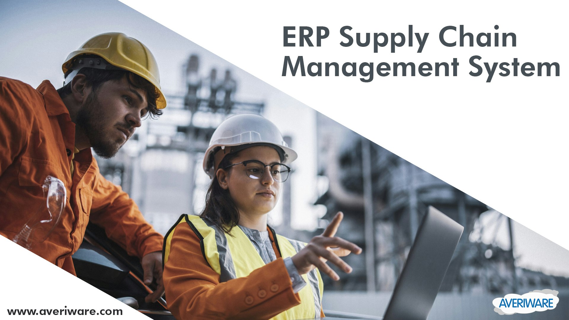 Supply Chain Management Software media 3