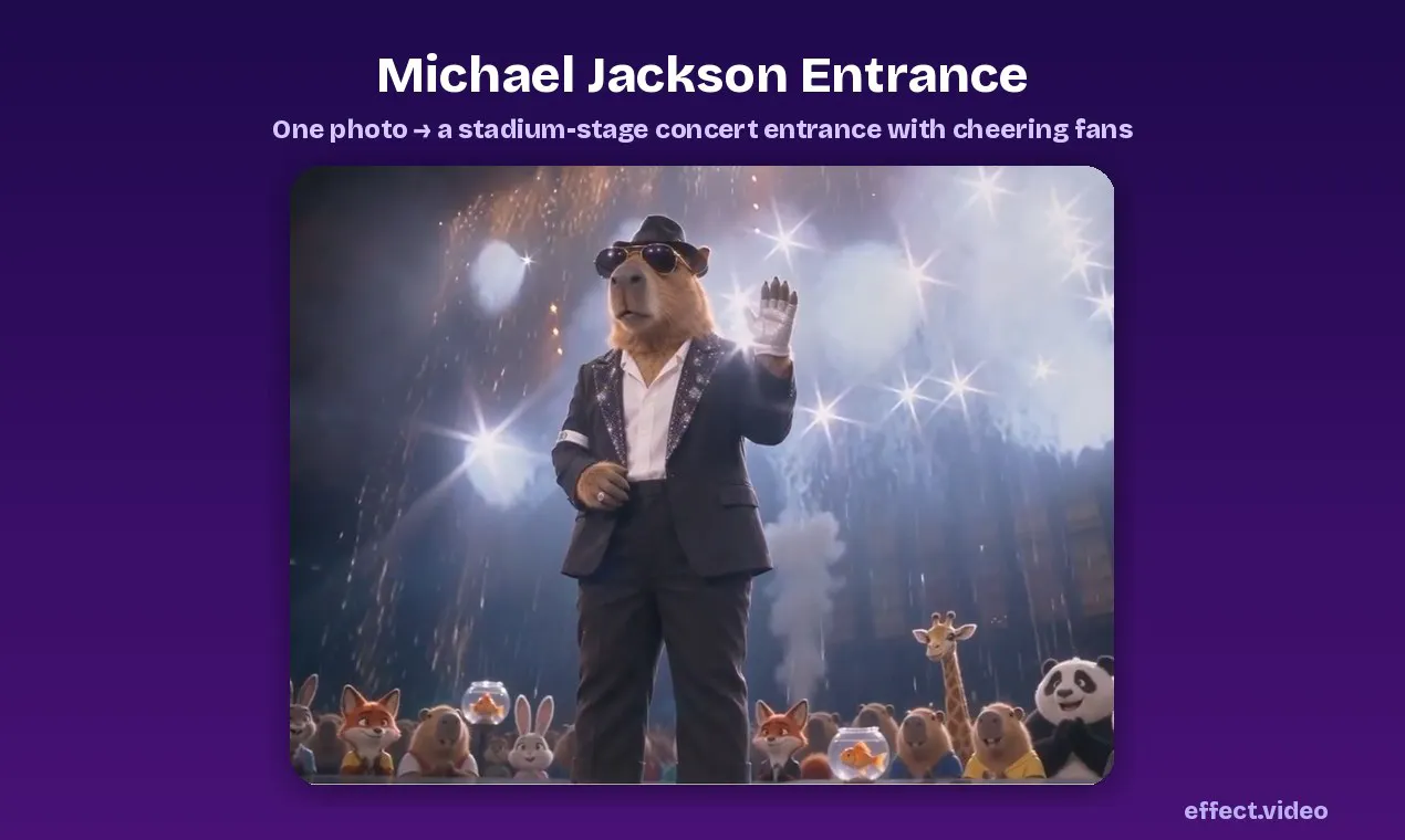 Effect Video gallery image