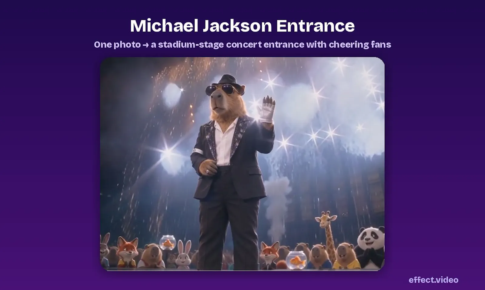 Effect Video screenshot 2