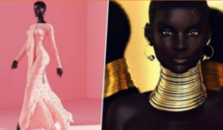 Digital Catalogue gallery image