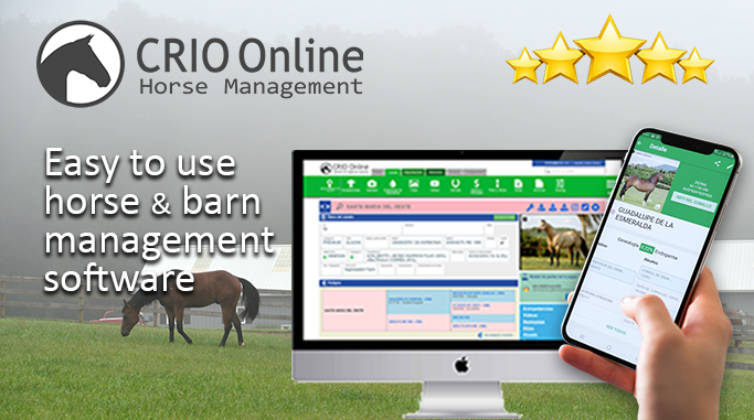 CRIO ONLINE gallery image