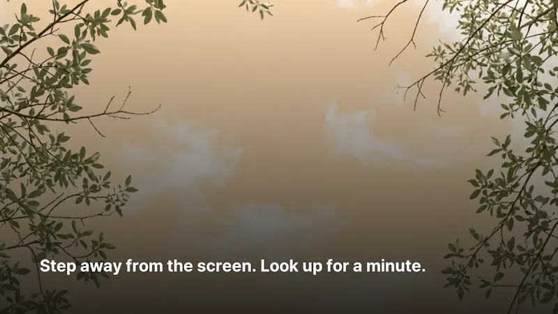 Lunch Walk screenshot 3
