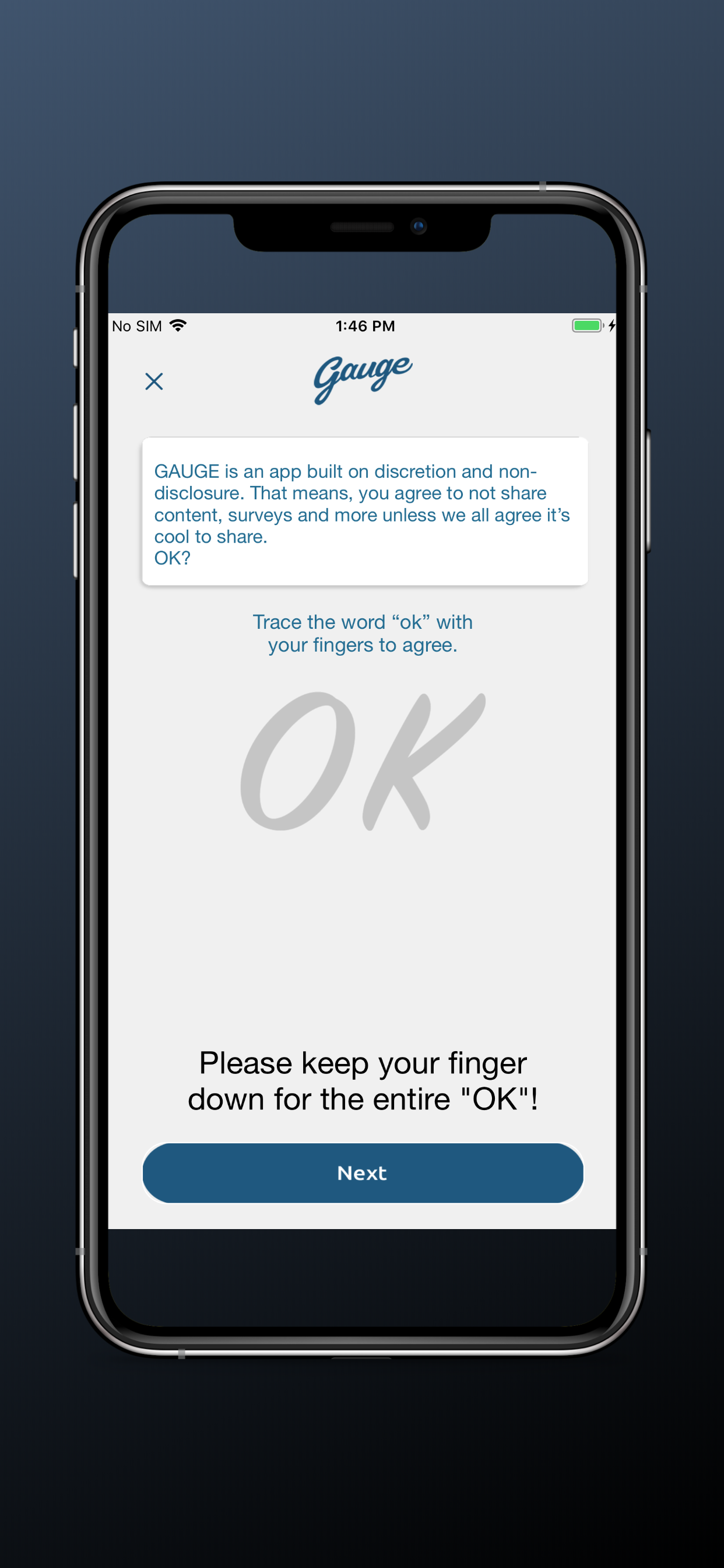 Gauge App Beta gallery image