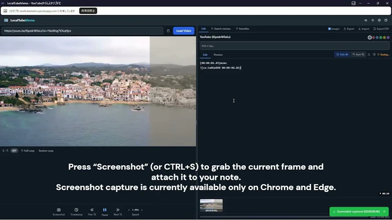 LocalTubeMemo screenshot 1 (video preview)