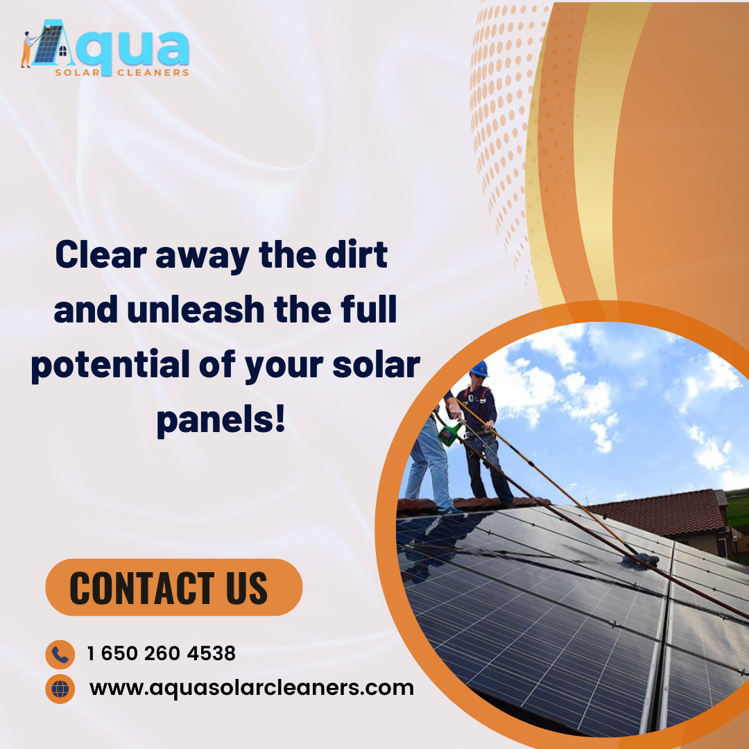 Importance of Softwashing your roof media 3