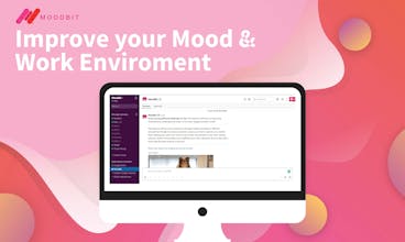 Moodbit gallery image