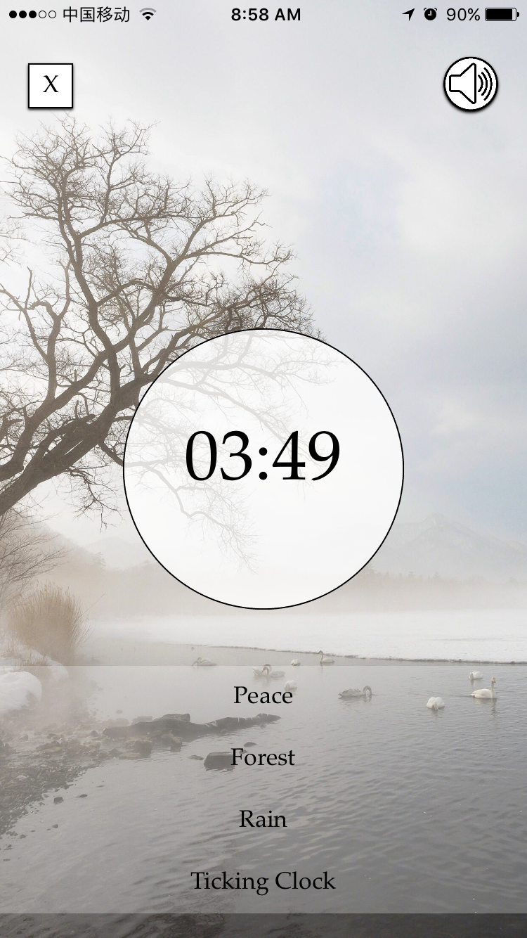 Cuckoo gallery image