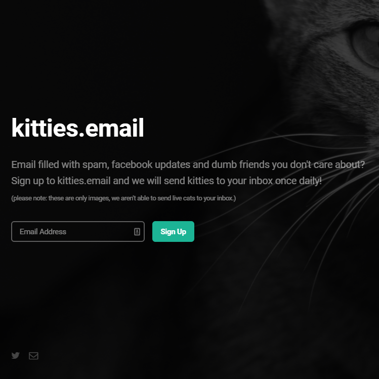 kitties.email