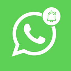 Magento 2 404 Notifier