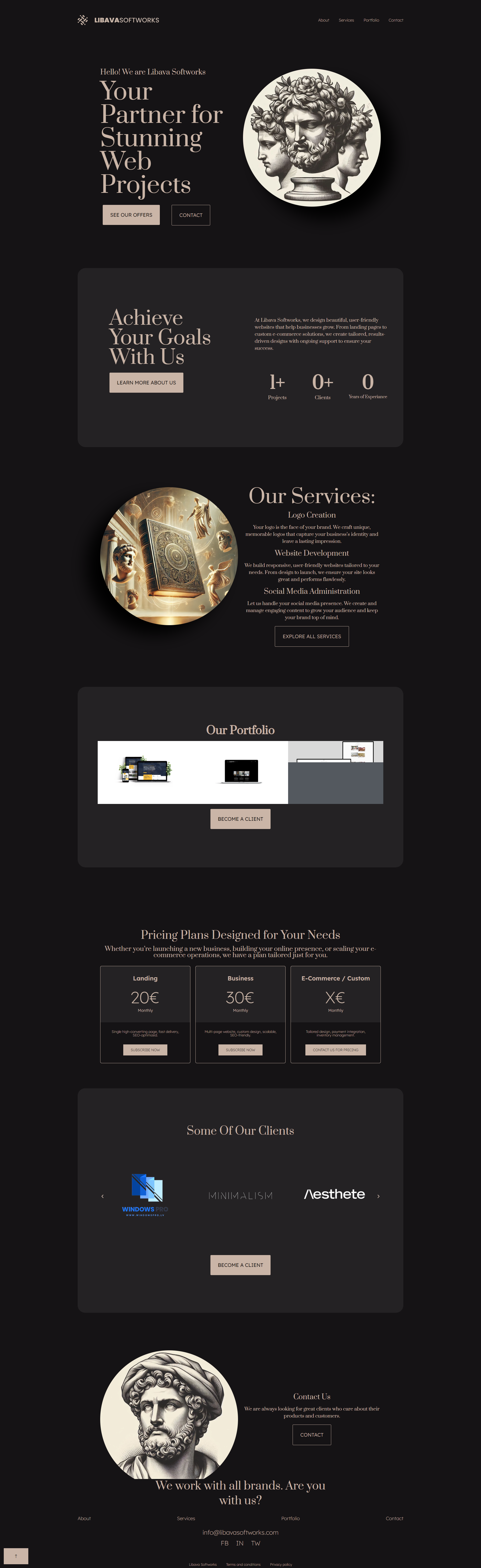 Libava Softworks - Affordable web development & design services media 5