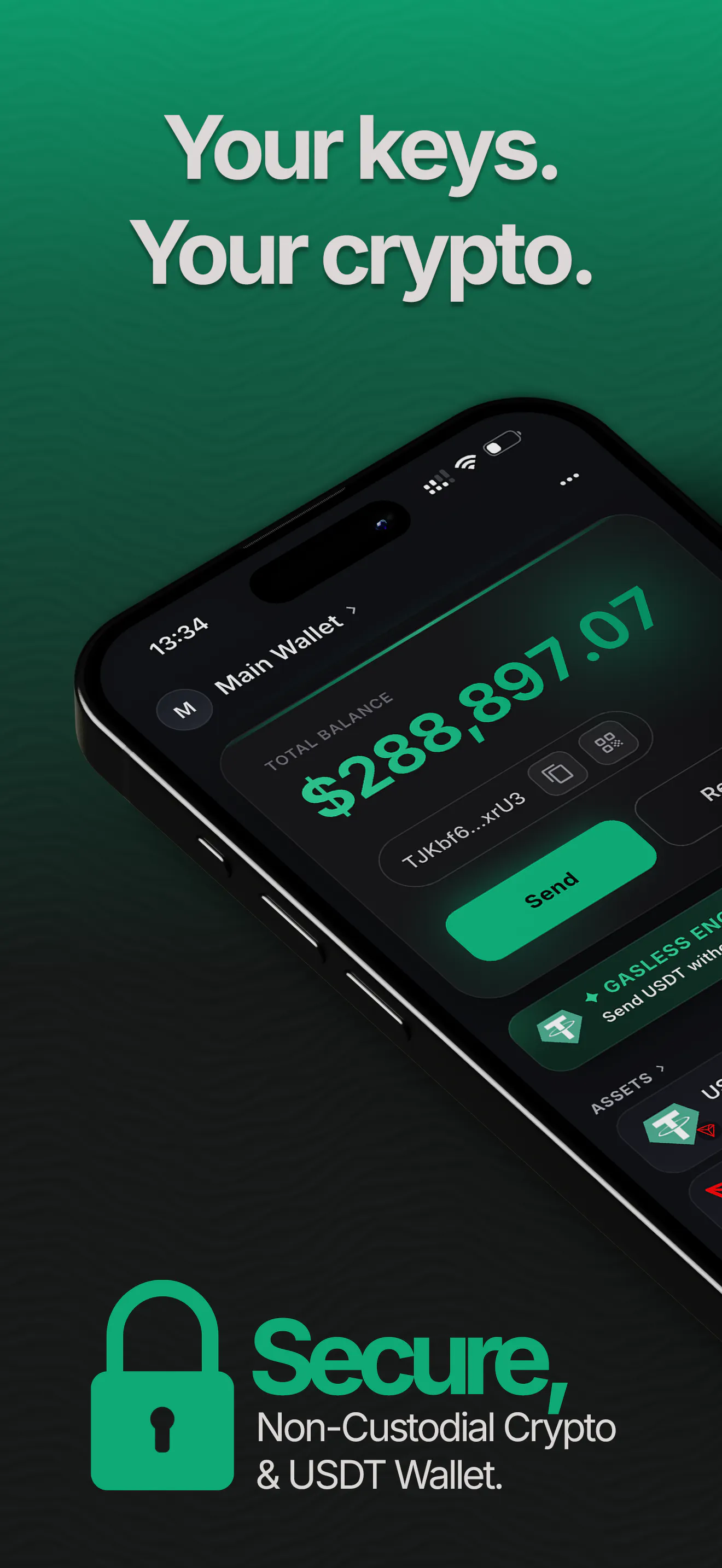 ONIQ: Crypto & USDT wallet gallery image