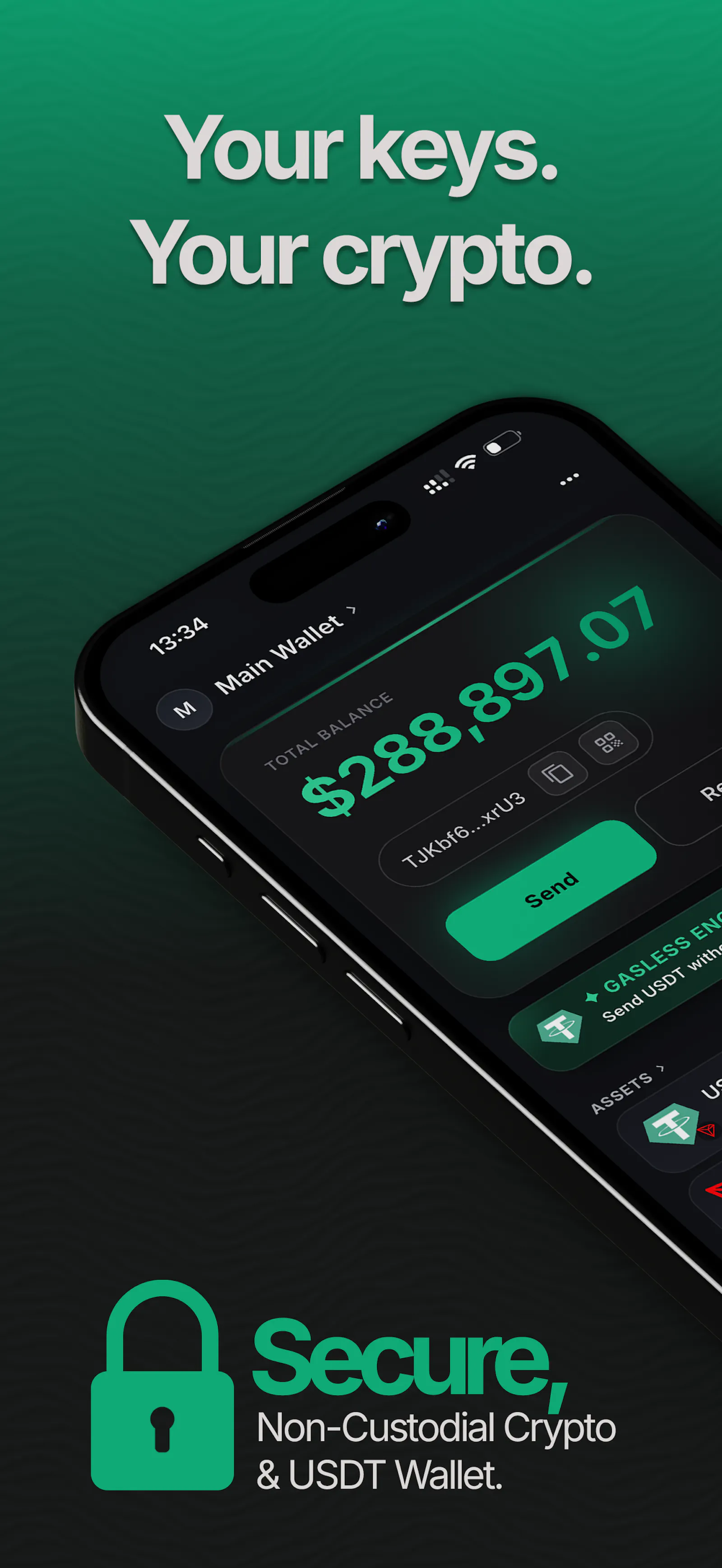 ONIQ: Crypto & USDT wallet screenshot 1