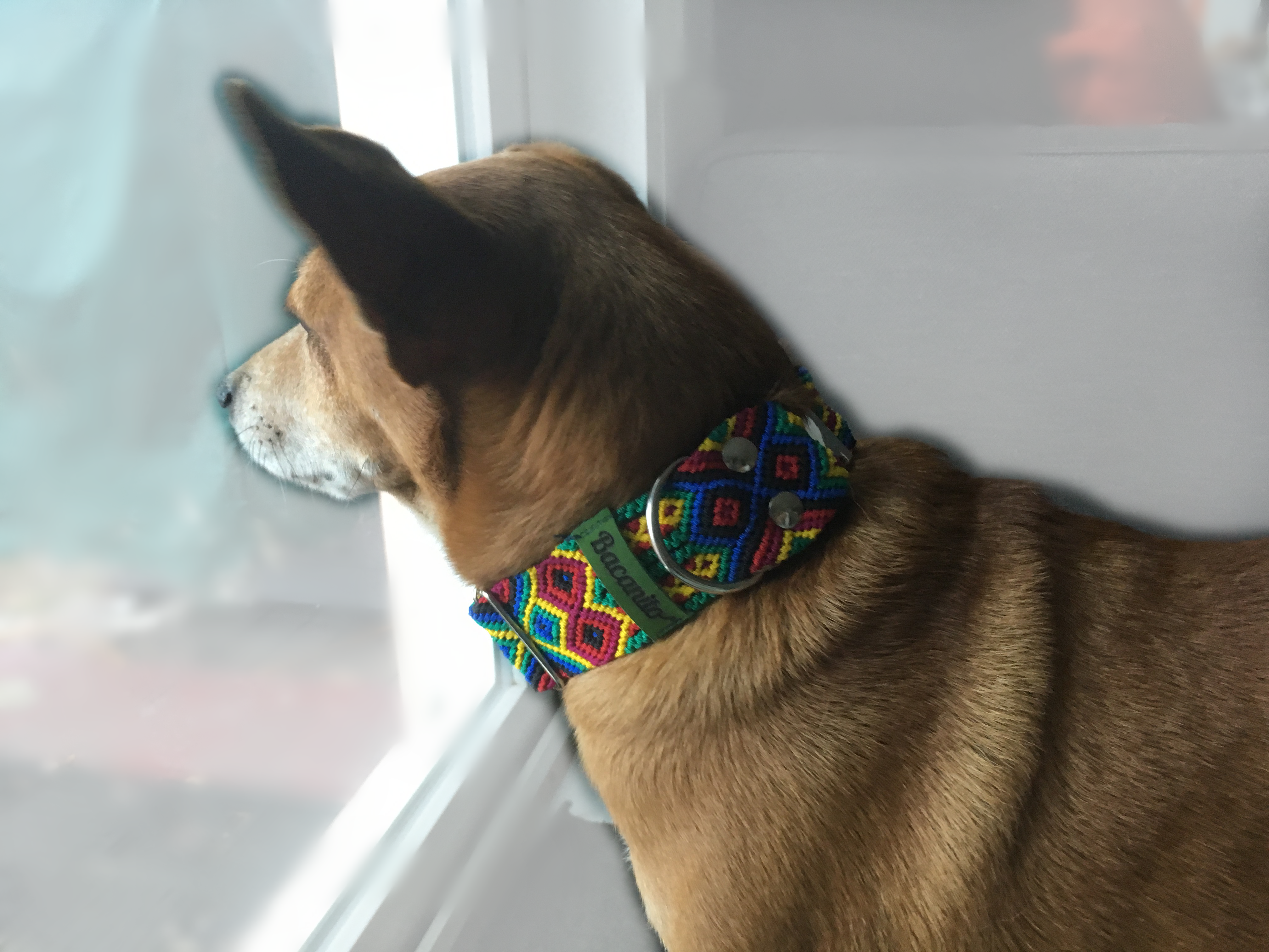 Bacanito gallery image