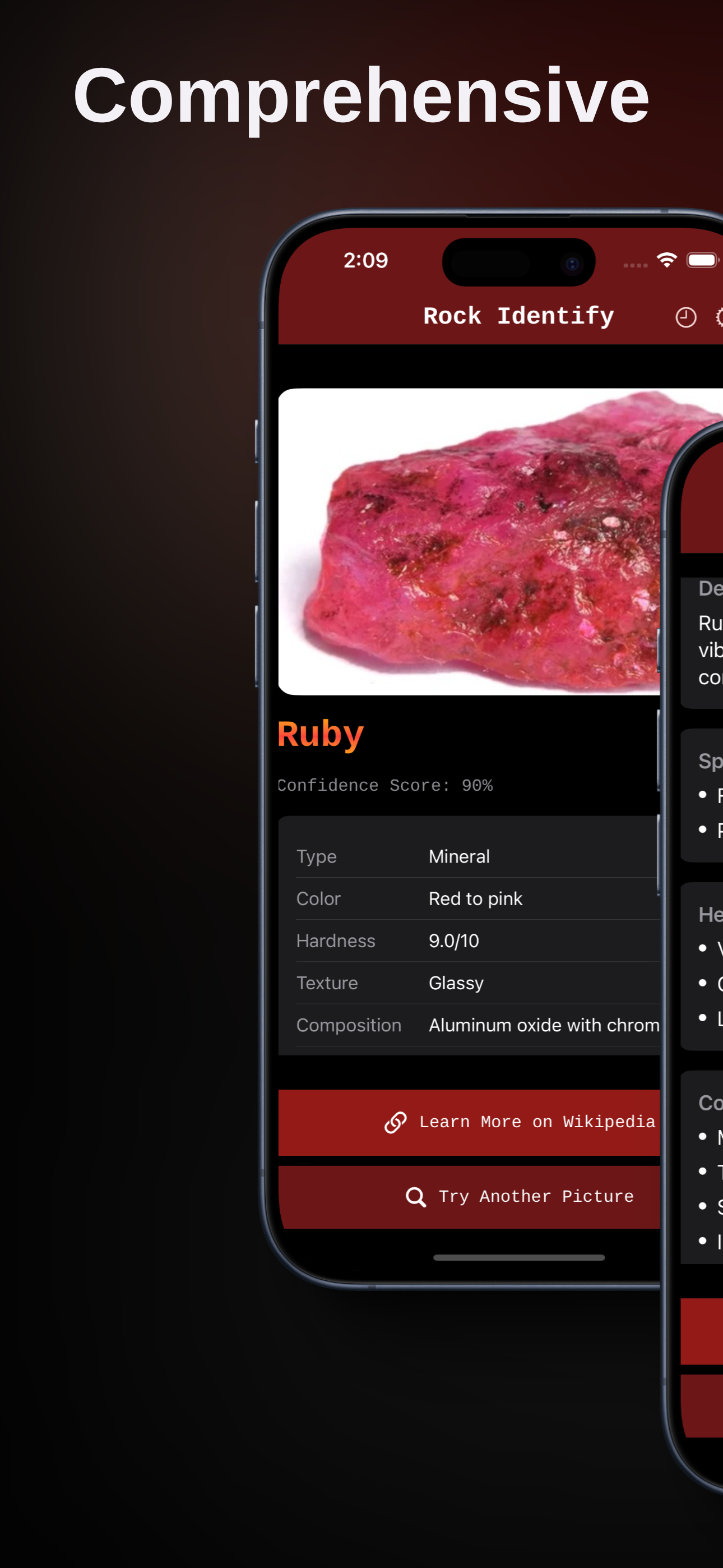 RockIntify - Rock Tanımlayıcısı media 3
