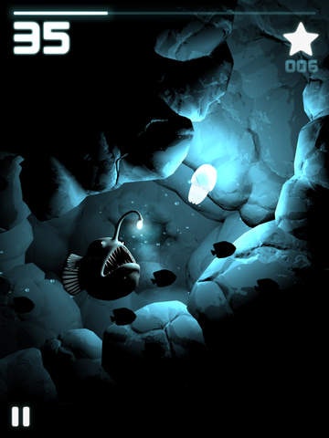 Seashine gallery image