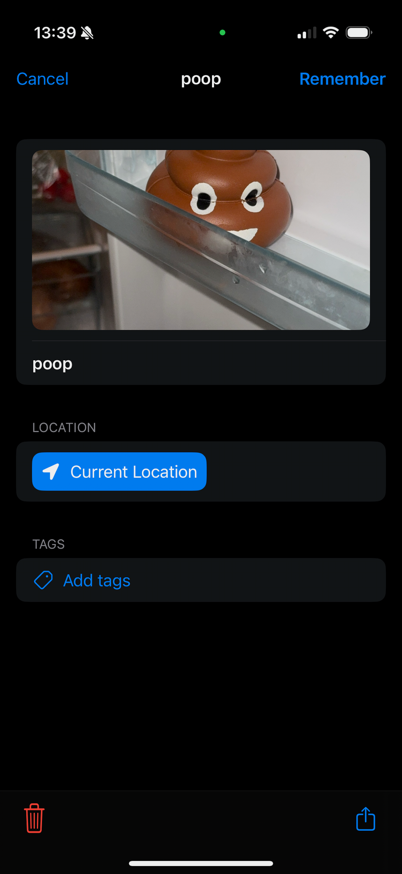 Remember gallery image