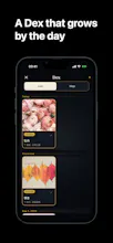 VitaDex gallery image