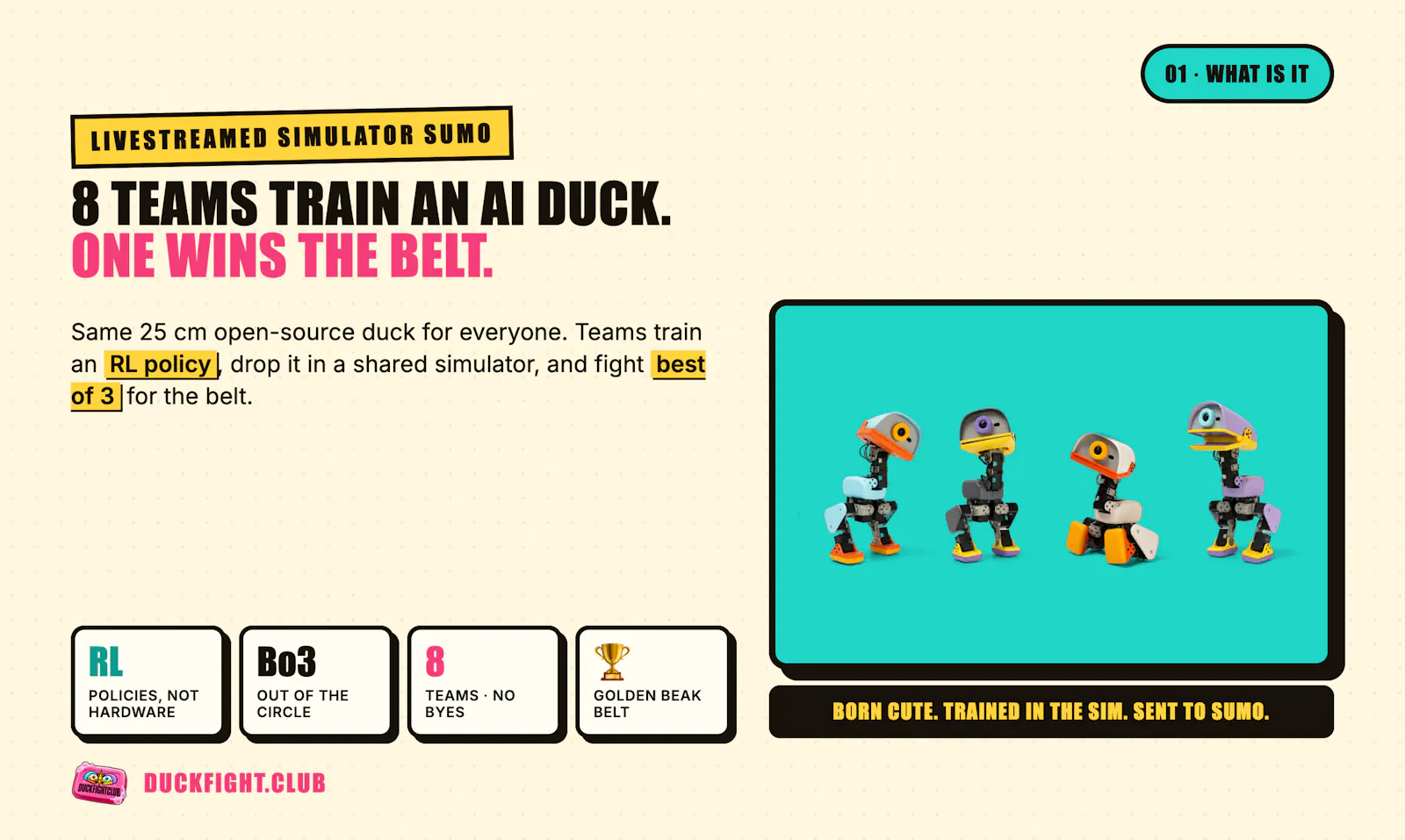 DuckFightClub screenshot 3
