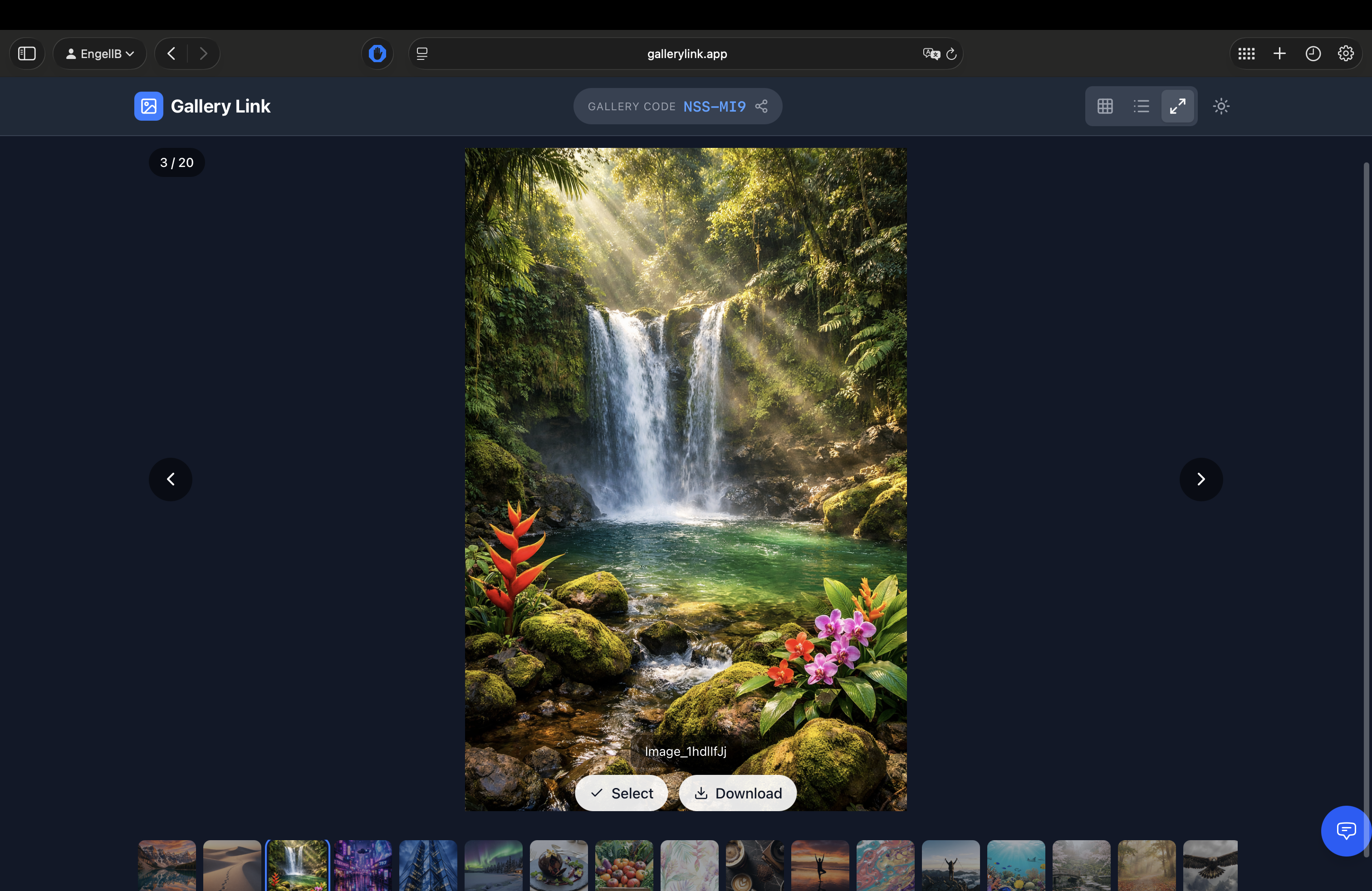 Gallery Link gallery image