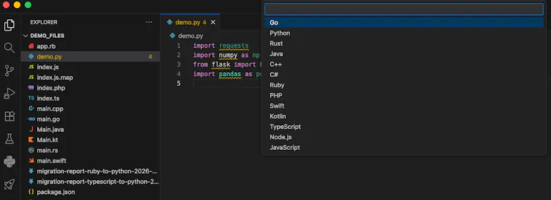 Package Pal for VS Code screenshot 7