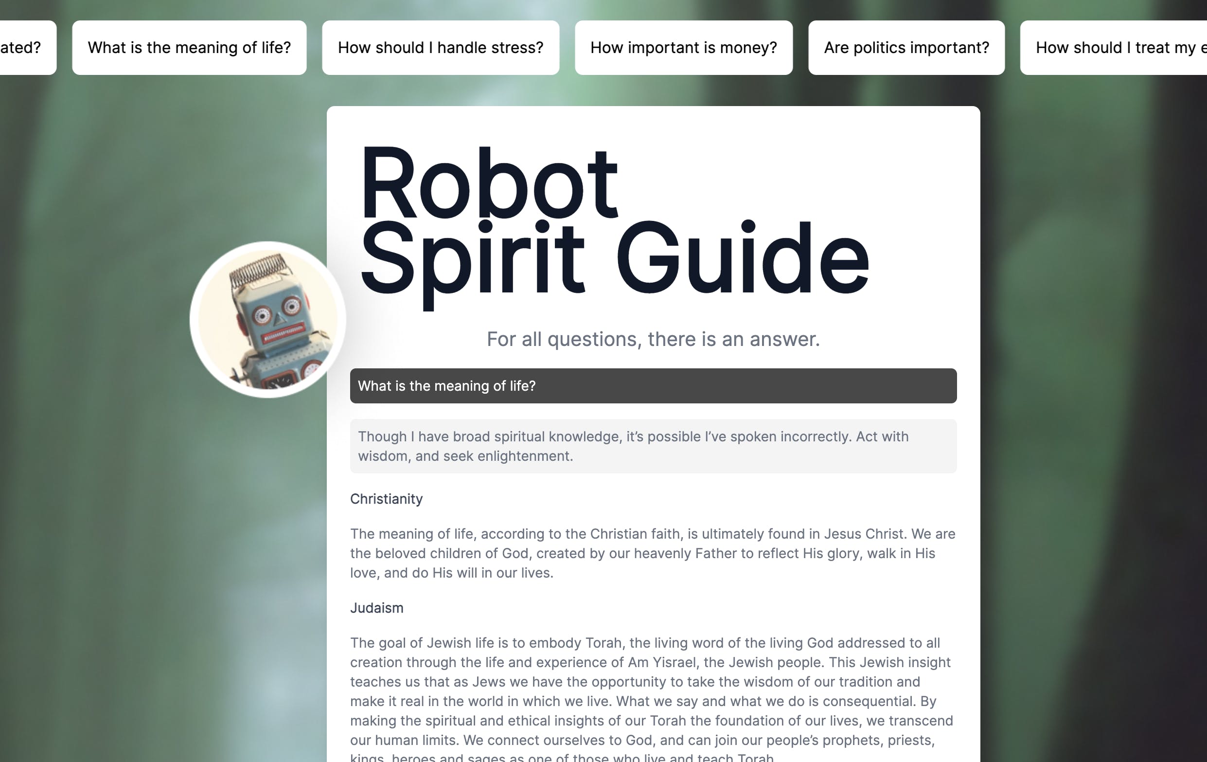 Robot Spirit Guide media 3