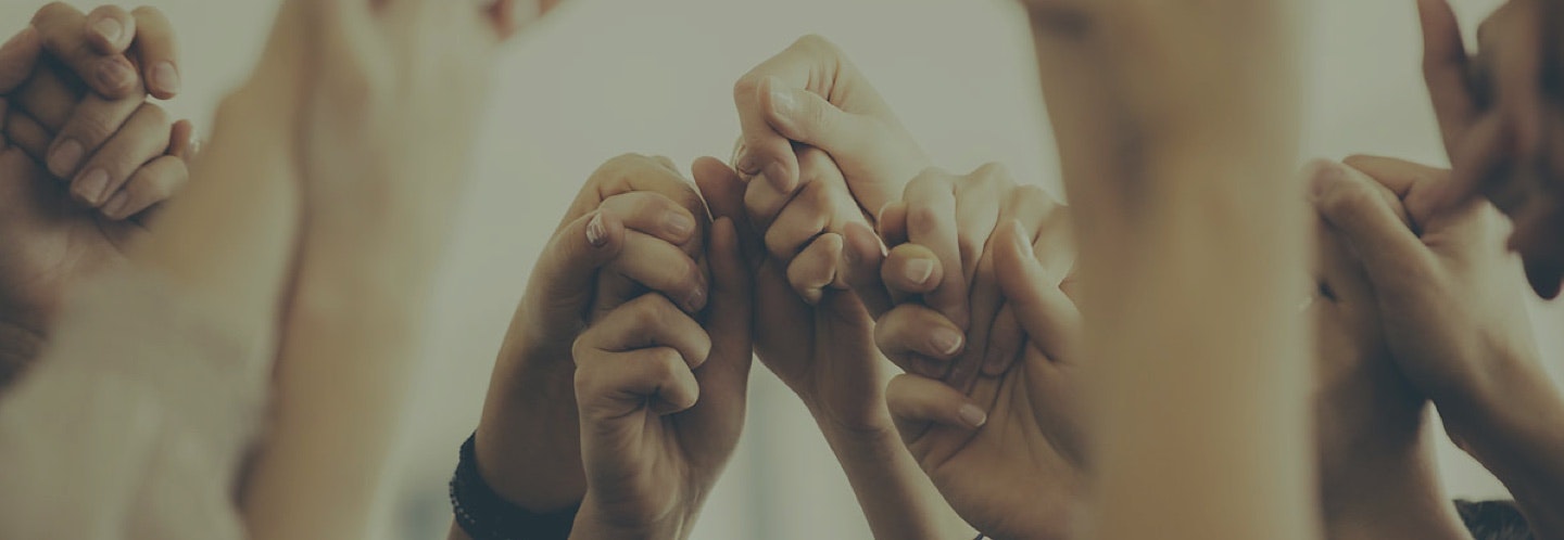 eSolidar gallery image