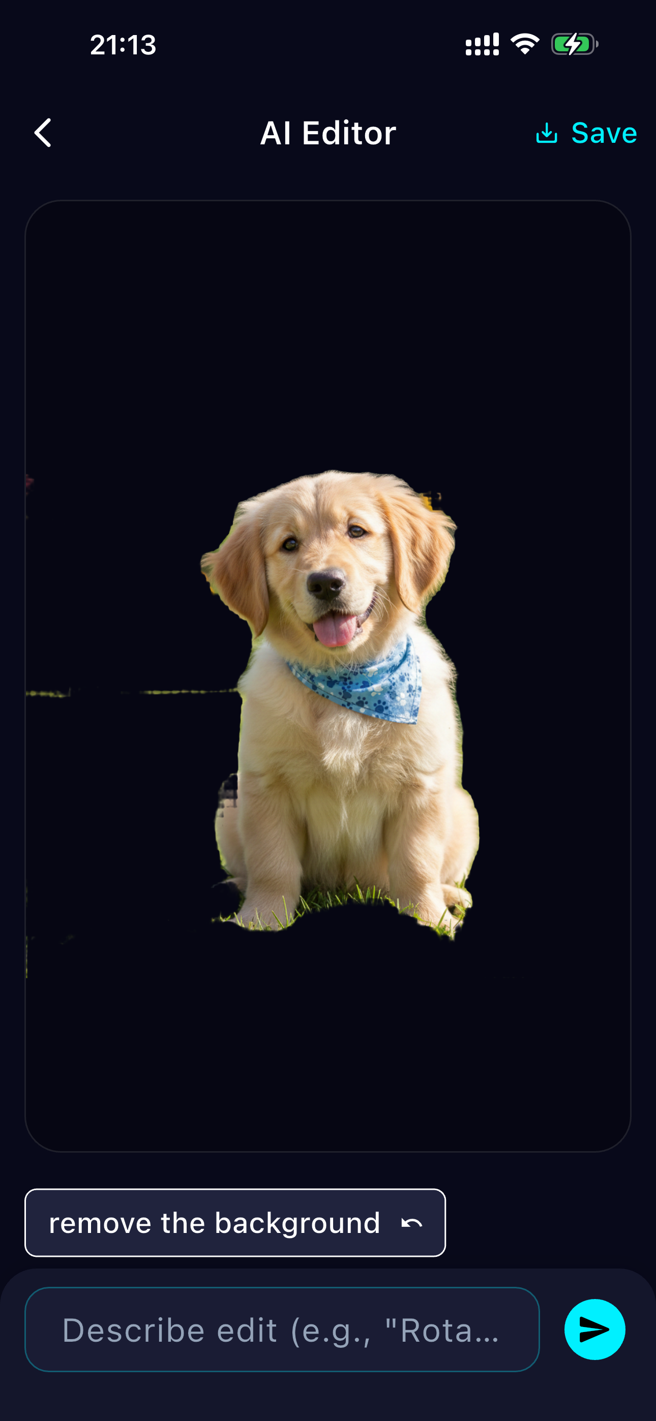 Echovita gallery image