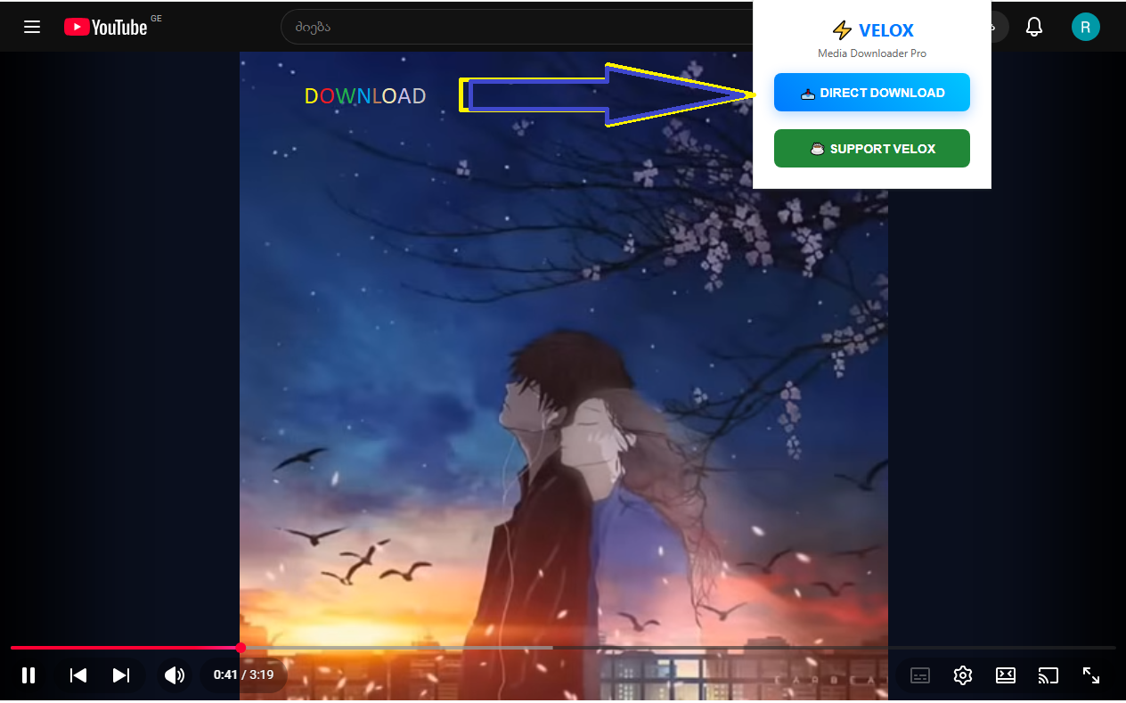 VELOX Media Downloader - Screenshot 2 showing product features and functionality