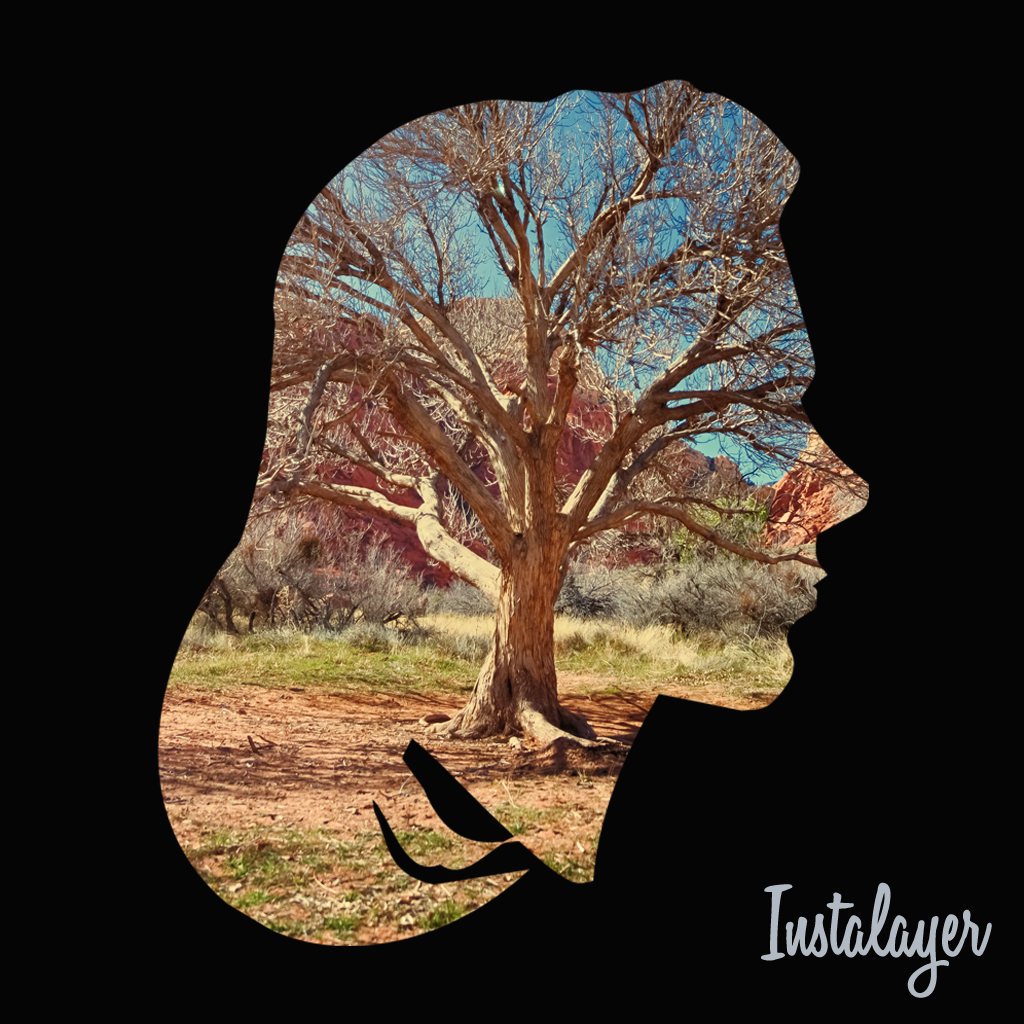 Instalayer gallery image