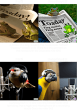 DeepFloyd IF gallery image