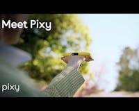 Pixy media 2