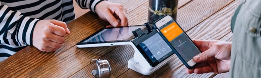 Cheddar gallery image