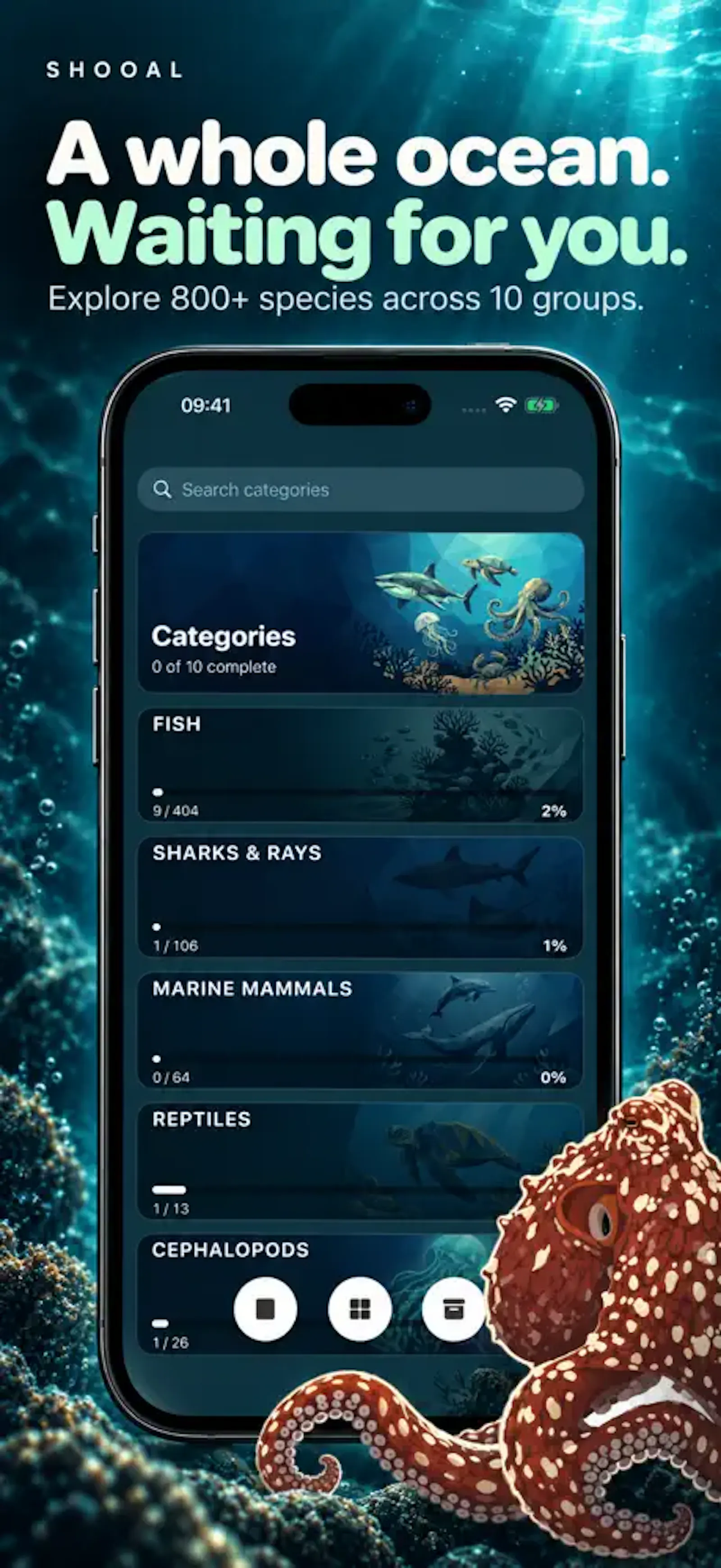 Shooal screenshot 4